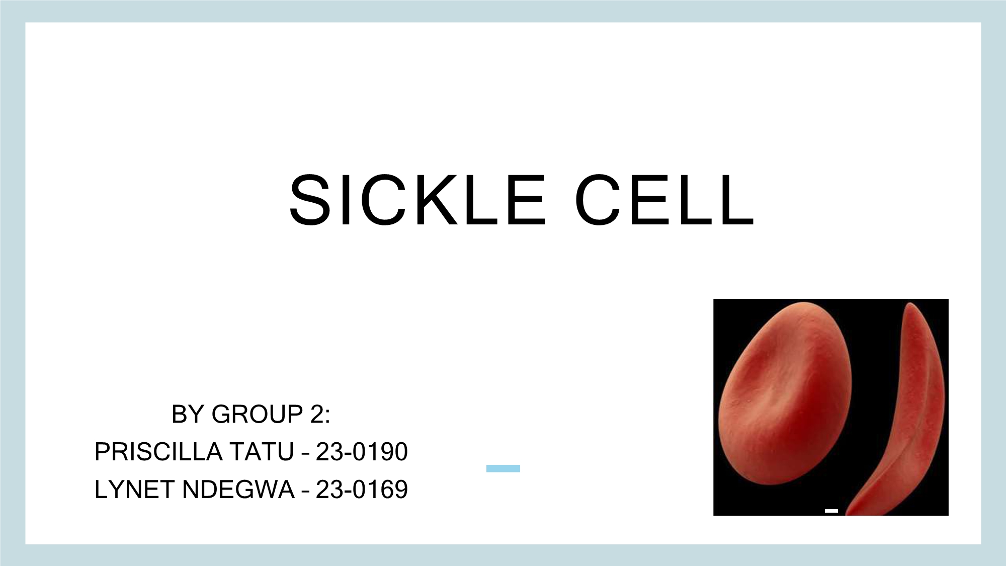 No preview available